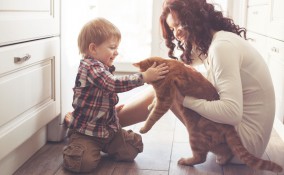 animali domestici. bambini, prendersi cura