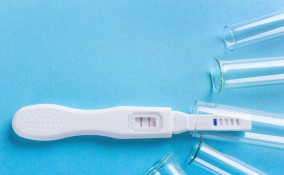 fecondazione in vitro