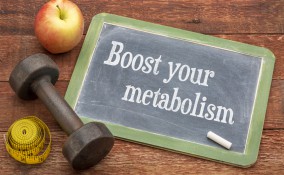 metabolismo, linea