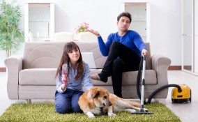 pulci in casa rimedi