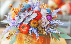 decorare zucche secche, decorare zucche ornamentali