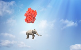 sogni, elefante, significato