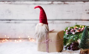 Gnomi di Natale