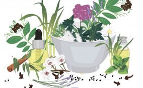 olio essenziale di Ravintsara 