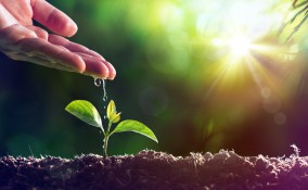 come evitare ristagni acqua vasi, evitare ristagni acqua vasi, drenaggio vasi