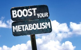 metabolismo