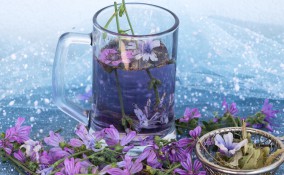 tisana alla malva, mal di stomaco, rimedi naturali