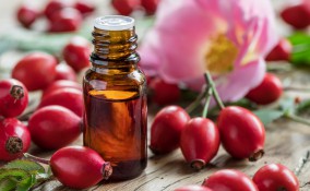 olio rosa canina