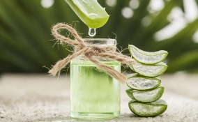 acqua di cactus