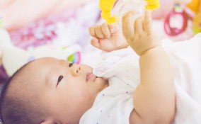 Costruire palestrina fai da te