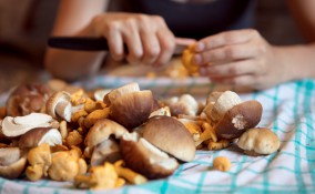 Funghi
