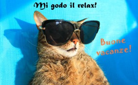 immagini vacanze estive divertenti, immagini vacanze estive