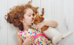 animali domestici, bambini, quali i migliori