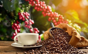 Caffeina
