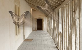 sognare corridoio, sogno corridoio