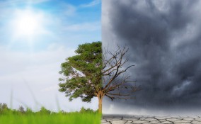 cambiamneto climatico spiegazione