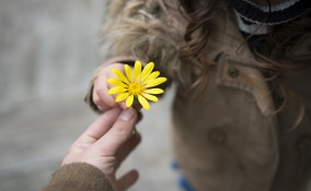 giornata della gentilezza