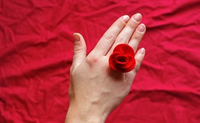 ghirlanda rose feltro