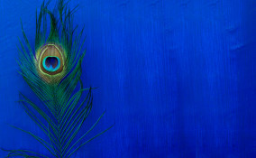 cotume carnevale fai da te