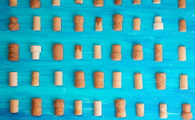 pittura tappi sughero