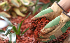 pacciamatura come si fa, pacciamatura cosa usare