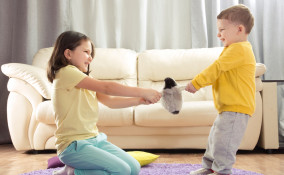 Litigio tra fratelli