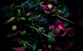 centrotavola invernale, fai da te, composizioni floreali