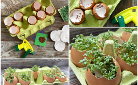 piantine uova come seminare, piantine uova 