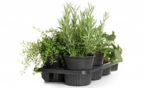 porta vasi fai da te