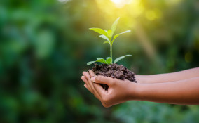 frasi ecologia