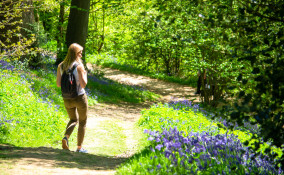 passeggiata bosco perché