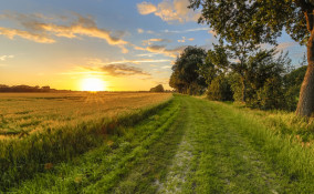 cosa fare campagna