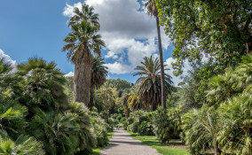 orto botanico motivi visitarlo