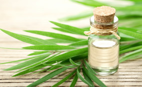 Tea tree oil