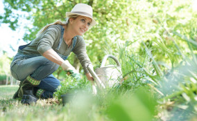 quali verdure piantare autunno, quali ortaggi piantare autunno