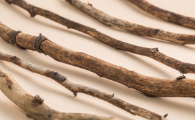 ramoscelli centrotavola