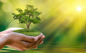 Rispetto ambiente