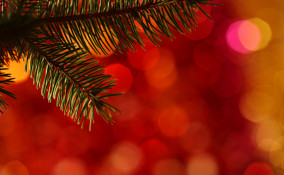 decori brillanti albero fai da te