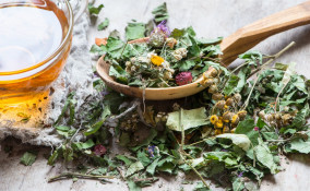 tisana detox, erbe, rimedi naturali