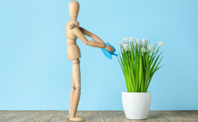 Pulire le piante finte