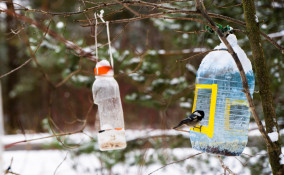mangiatoia uccelli fai da te bottiglia plastica, mangiatoia uccelli fai da te
