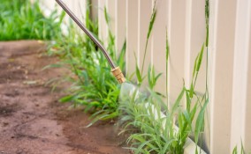 diserbante fai da te