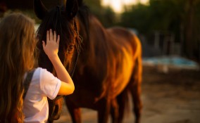 passeggiate cavallo bambini