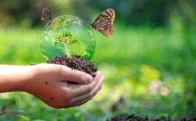Biodiversità