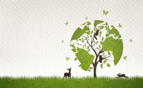 rewilding