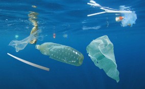 Giornata mondiale degli Oceani