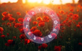 fiori segni zodiacali, fiore segno zodiacale