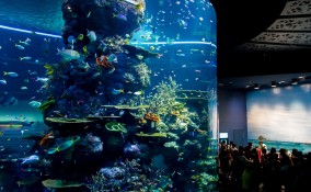 Sea Aquarium