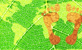 impronta ecologica cos’è, impronta ecologica come si calcola 