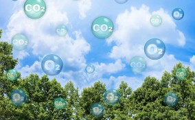 Aumento di CO2 nell'aria